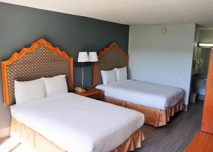 Hotel Elev8